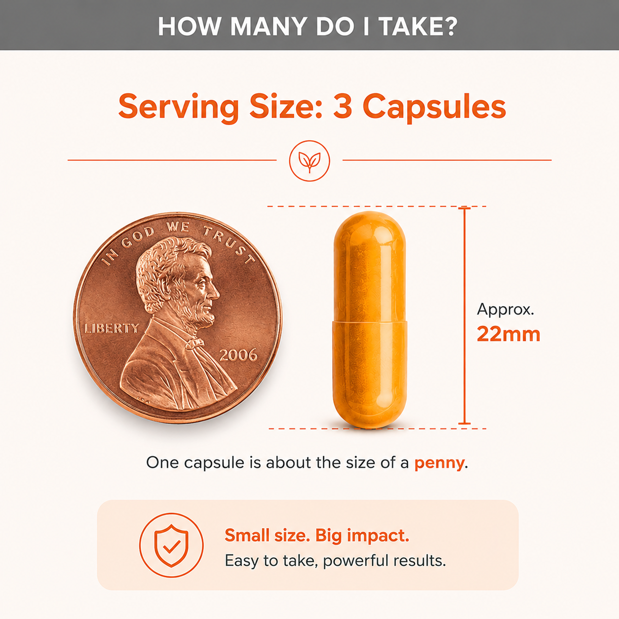 Litmus Organics - Turmeric Curcumin - Inflammation Support Capsules
