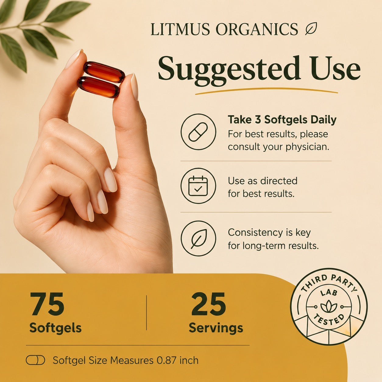 Litmus Organics - Pumpkin Seed Oil Complex - Thinning Hair Formula